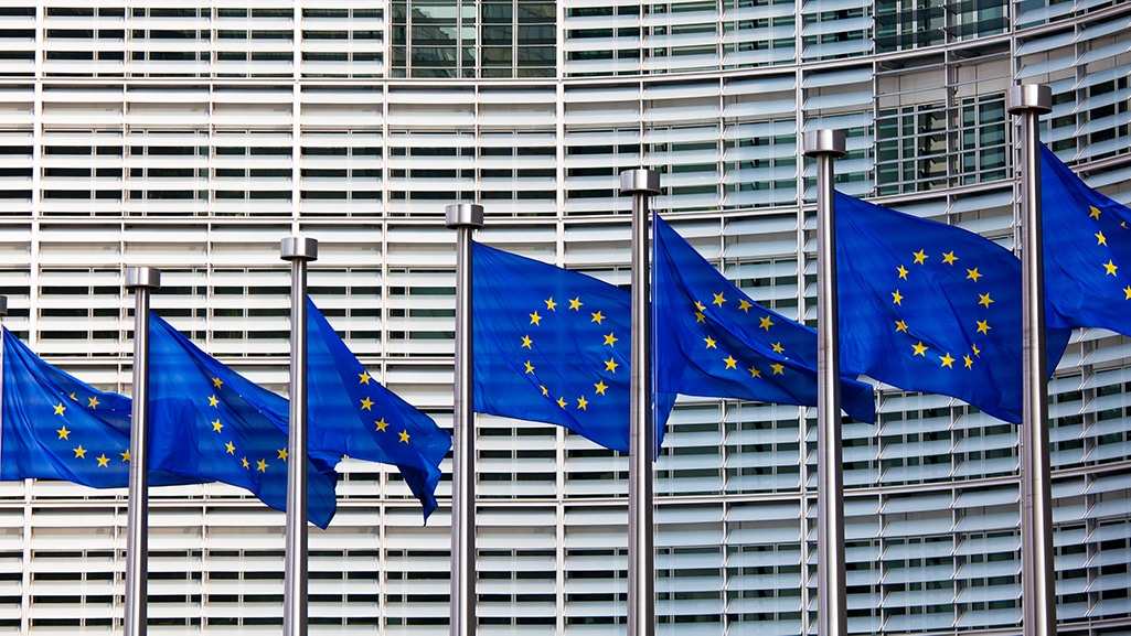 International Whistleblower Laws and EU Directive - Row of EU Flags