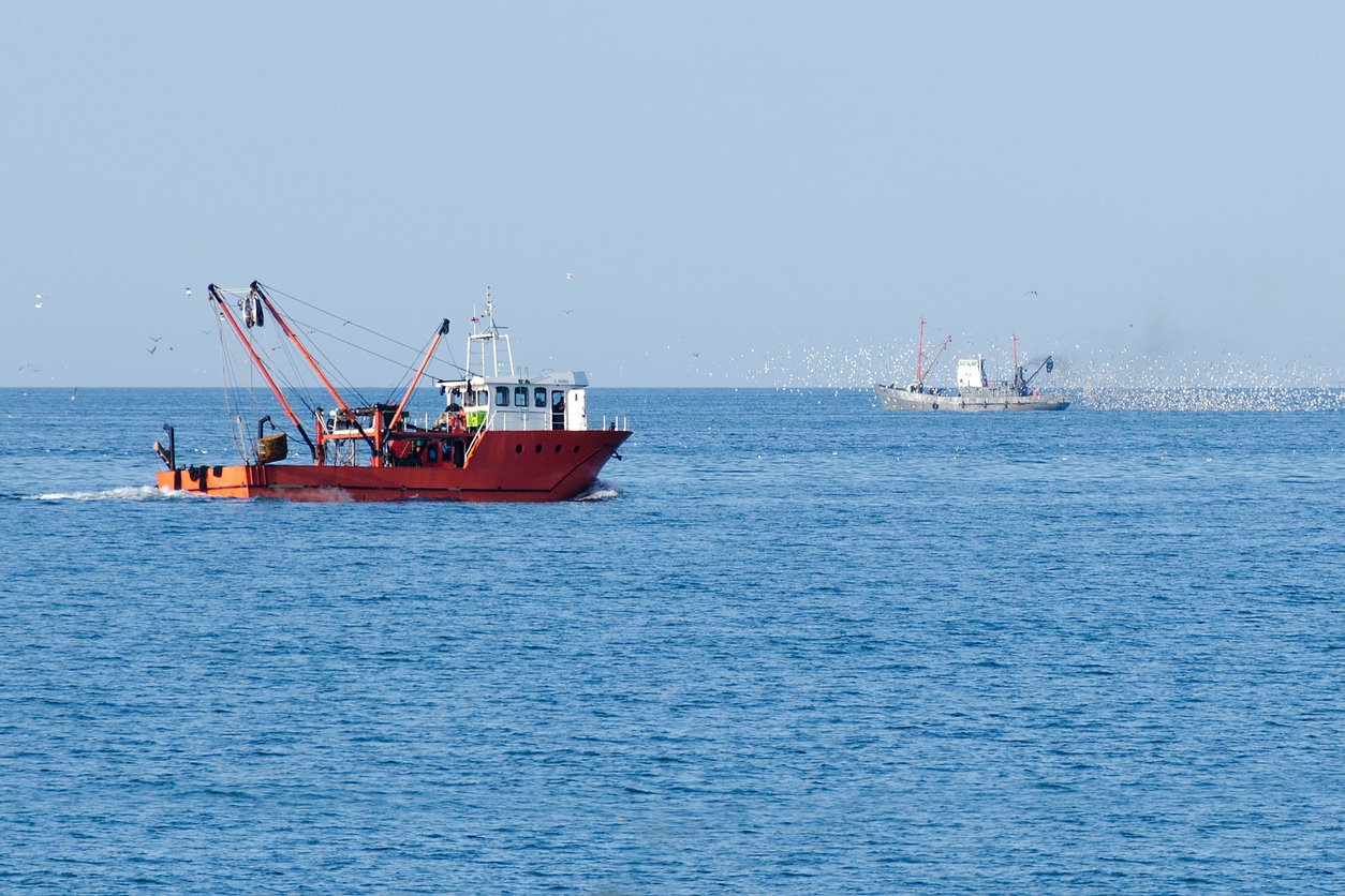 Illegal fishing