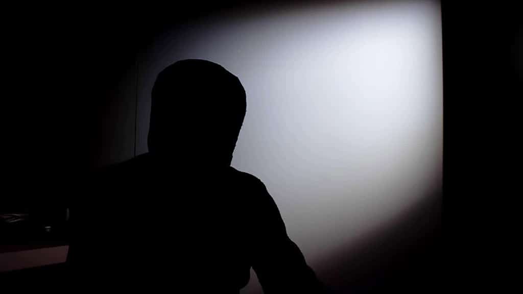 Whistleblowing 101 - Kohn, Kohn & Colapinto LLP