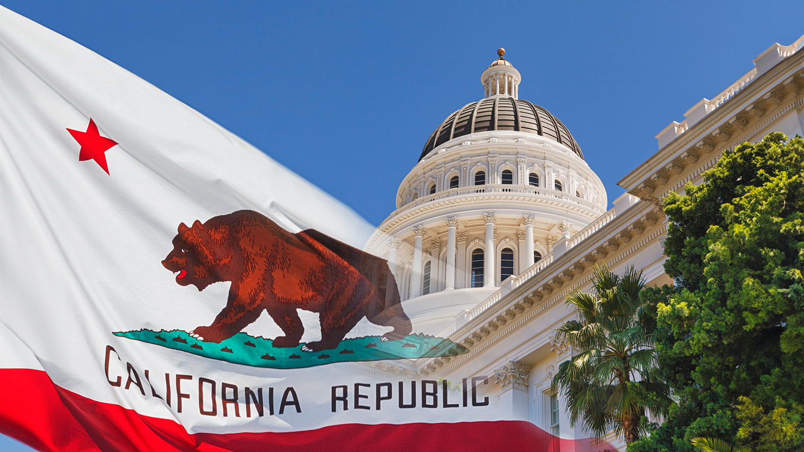 California State False Claims Act: A Guide To Whistleblowing